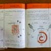 Vintage Original Alfa Romeo Giulia 1300 User Manual, 9/1964 - Image 3